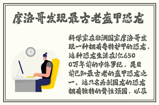 看见了兔兔
